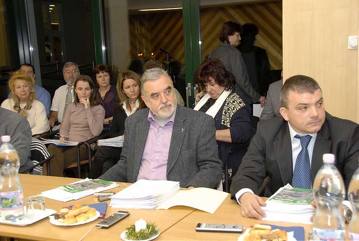 mt_gallery:Képviselő-testületi ülés, 2010. december 16.